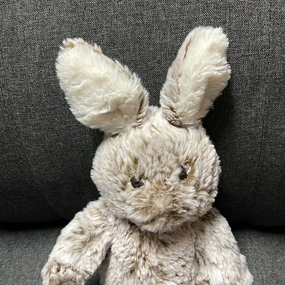 Pottery Barn Kids Taupe Fur Bunny Plush - Picture 4 of 6